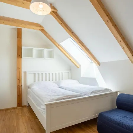 Ski Chalet Klinovec Loucna pod Klinovcem Room photo